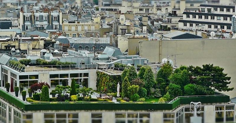 Il giardino pensile, una soluzione per il verde